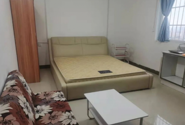 纯公寓独立卫生与厨房日租