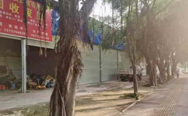 武昌区高新大道40平多间一楼铺面、厂房仓库招租