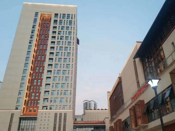 地铁口 龙岗小万象临街 旺现铺